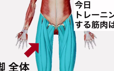 身体の代謝アップ！脚のトレーニング